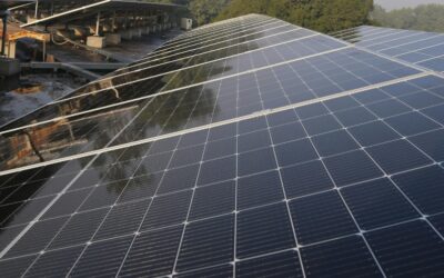 How Real-Time Monitoring Optimises Solar Investments and ESG Compliance